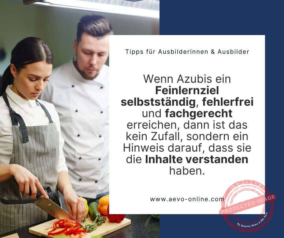 wenn azubis ein feinlernziel selbstständig fehlerfrei und fachgerecht erreichen dann ist das kein zufall sondern ein hinweis darauf dass sie die inhalte verstanden haben