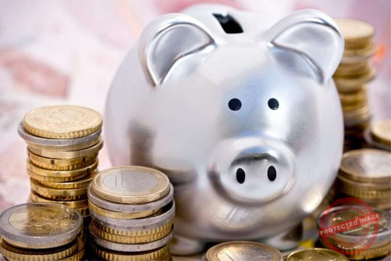 Sparschwein mit Euromünzen, symbolisch für Kosten des Ausbilderschein