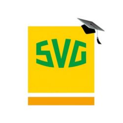 AEVO-Online-Partner SVG-Akademie