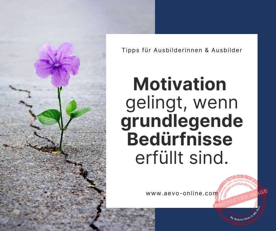 motivation gelingt nur wenn grundlegende bedürfnisse erfüllt sind