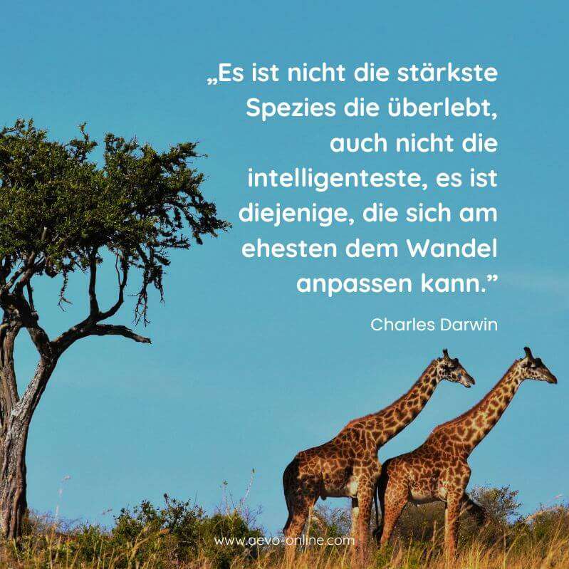 aevo online zitate ausbildung | aevo online es ist nicht die stärkste spezies die überlebt auch nicht die intelligenteste es ist diejenige die sich am ehesten dem wandel anpassen kann zitat von charles darwin