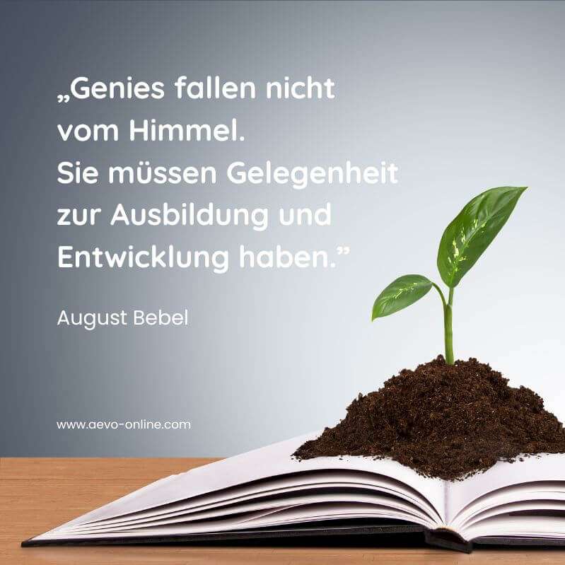 aevo online gmbh zitate ausbildung | aevo online genies fallen nicht vom himmel sie müssen gelegenheit zur ausbildung und entwicklung haben august bebel