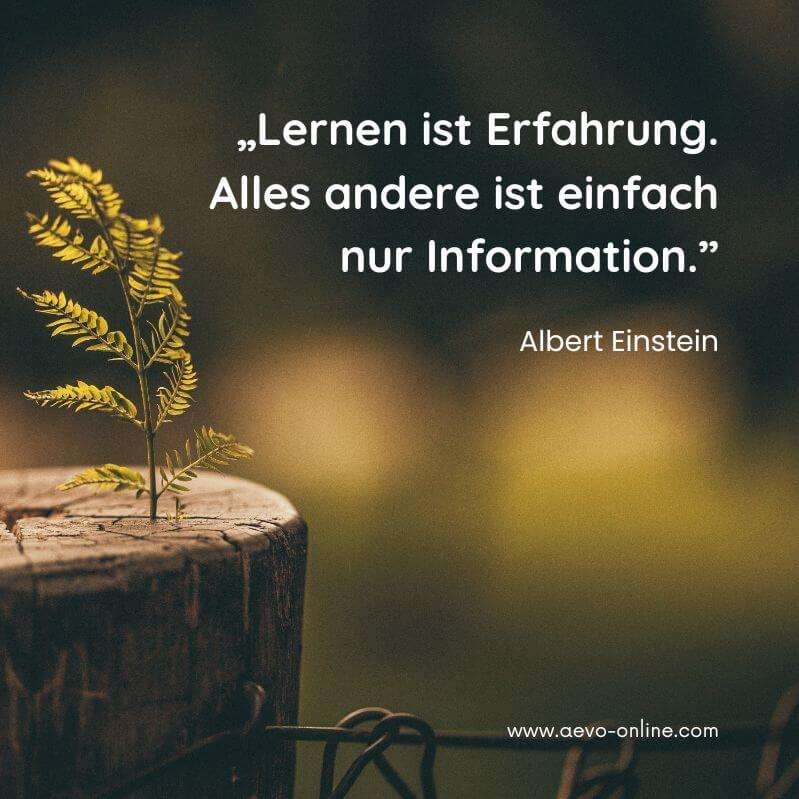 aevo online zitate ausbildung | aevo online lernen ist erfahrung alles andere ist einfach nur information zitat von albert einstein