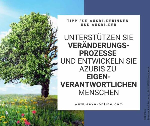 Abbildung: Baum mit Jahreszeiten