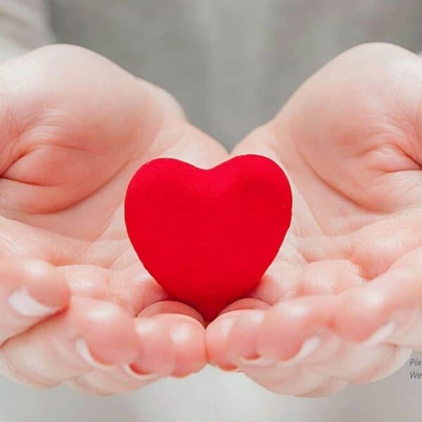 Abbildung: Hände die ein rotes Herz halten